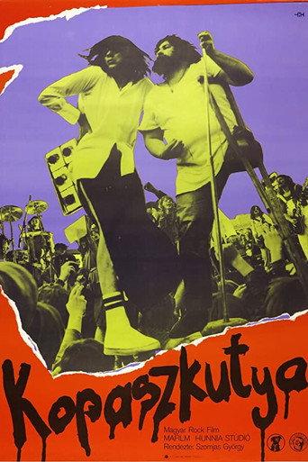 Bald Dog Rock (1981) poster