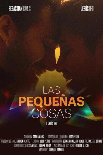 Las pequeñas cosas () poster