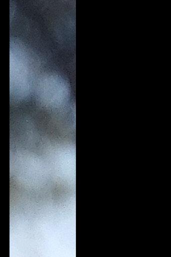 Untitled (2023) poster