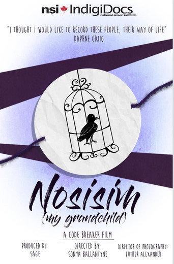 Nosisim (2017) poster