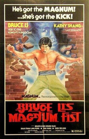 Bruce Li's Magnum Fist (1978) poster