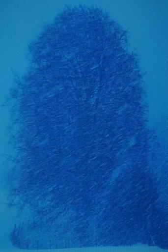 Beech Tree-Appearance (2020) poster