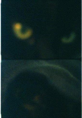 Max (2002) poster