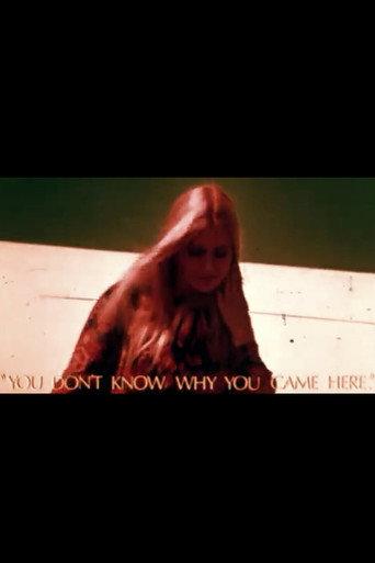You Don't Know Why You Came Here (1974) poster