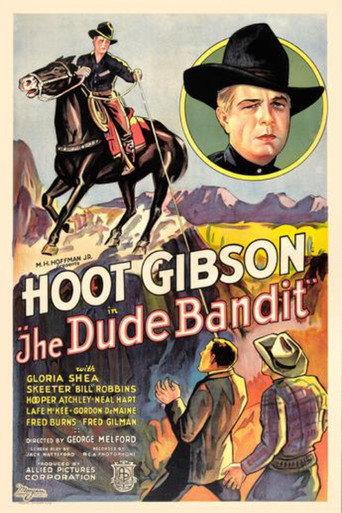 The Dude Bandit (1933) poster