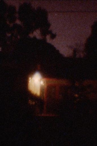 In The Evening () poster