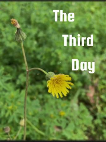 The Third Day (2024) poster