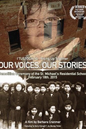 Our Voices, Our Stories (2016) poster