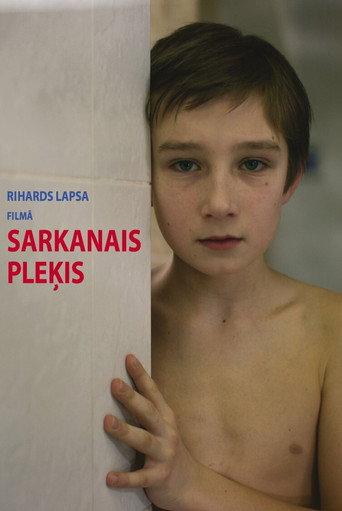 Red Spot (2008) poster