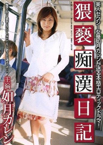 Chikan Diary Obscenity (2005) poster
