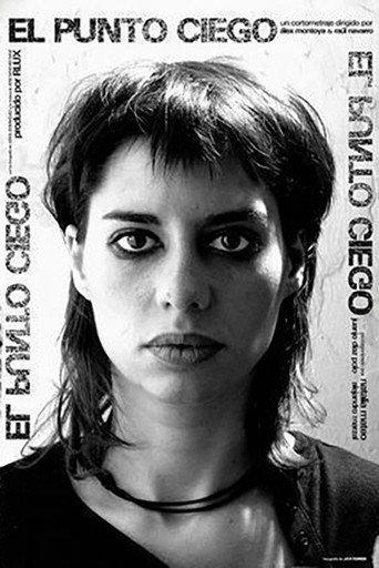 The Blind Spot (2005) poster
