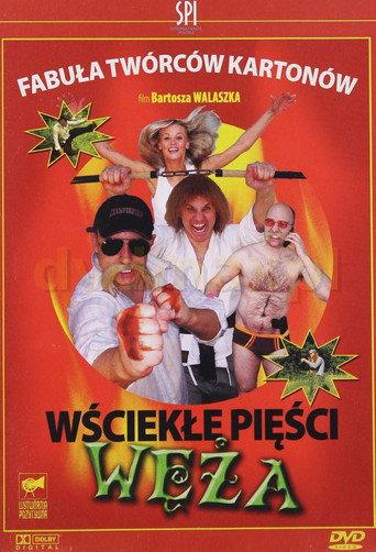 Snake's Angry Fists (2006) poster