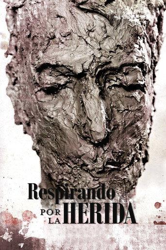 Respirando por la herida (2013) poster