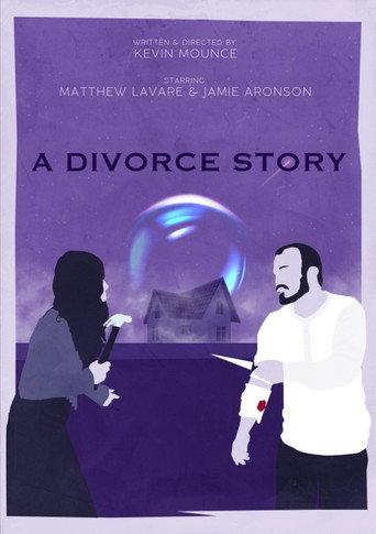 A Divorce Story () poster