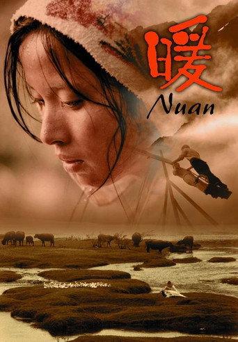 Nuan (2004) poster