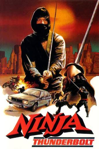 Ninja Thunderbolt (1984) poster