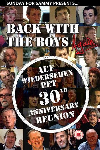Back with the Boys Again (2013) poster