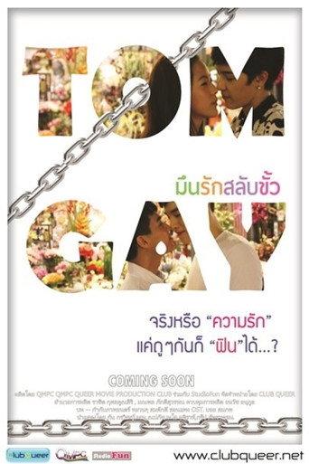 Tom Gay (2013) poster