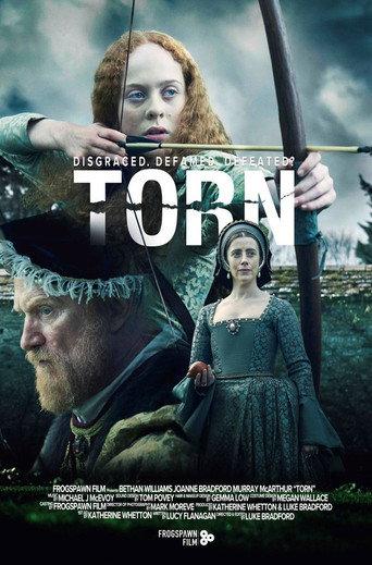 Torn () poster