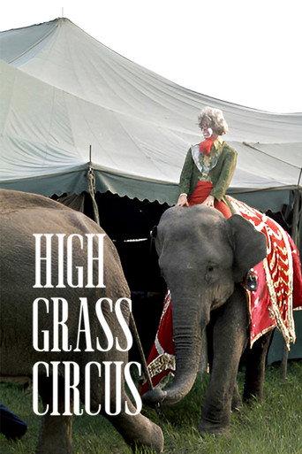 High Grass Circus (1976) poster