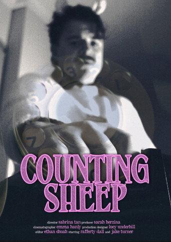Counting Sheep (2025) poster