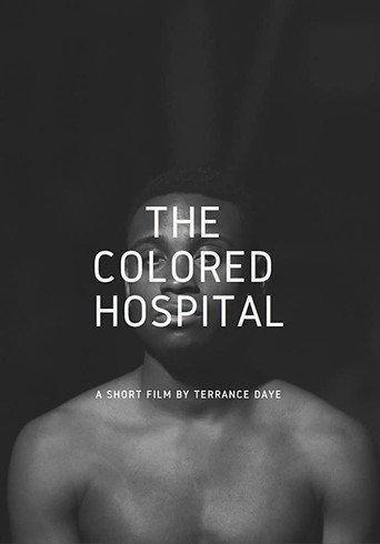 The Colored Hospital: A Visual Poem (2017) poster