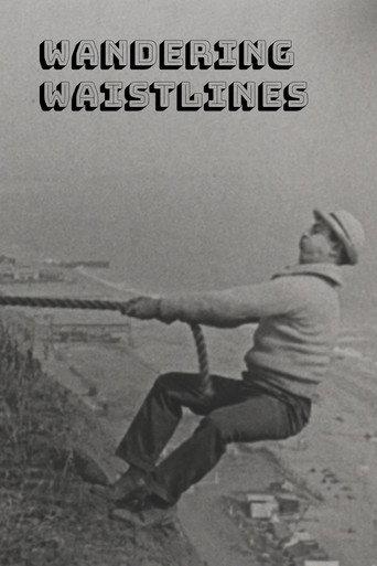 Wandering Waistlines (1924) poster