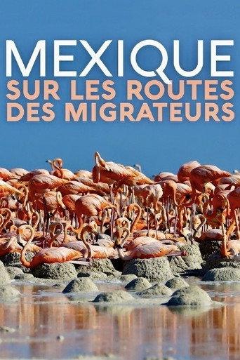 Mexique, sur les routes des migrateurs (2019) poster