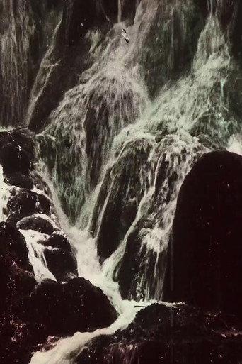 The Waterfalls of Monasterio de Piedra (1912) poster