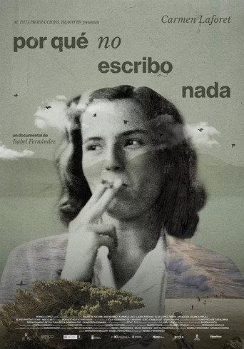 Por qué no escribo nada () poster