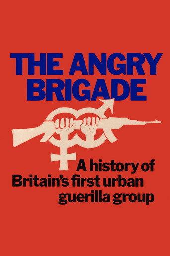 The Angry Brigade: The Spectacular Rise and Fall of Britain's First Urban Guerilla Group (1973) poster