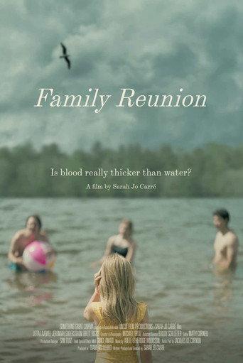 Family Reunion () poster