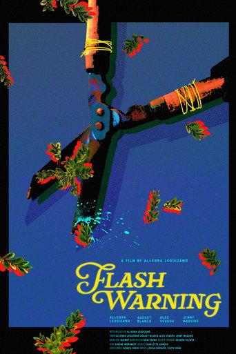 Flash Warning () poster