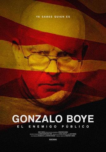 Gonzalo Boye, el enemigo público (2024) poster