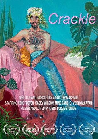Crackle () poster