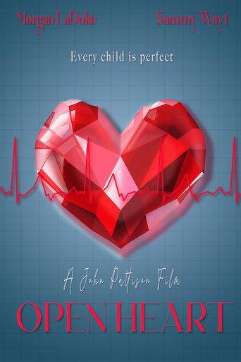 Open Heart () poster