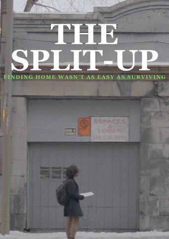 The Split-Up (2024) poster