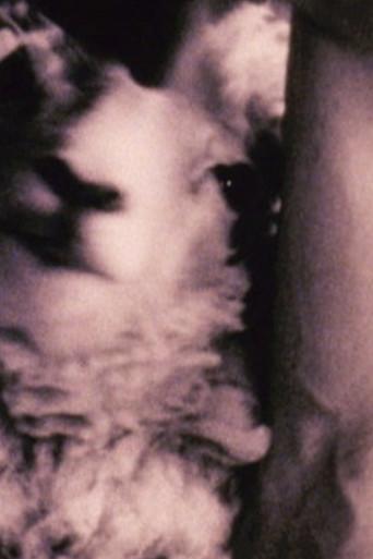 Martin (2004) poster