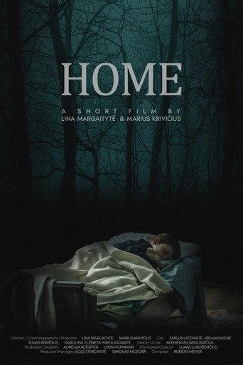 Home (2020) poster