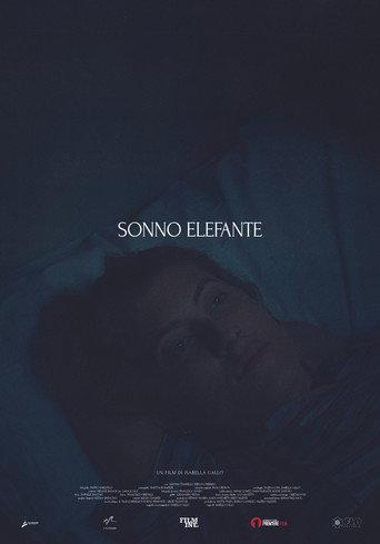 Sonno Elefante (2025) poster