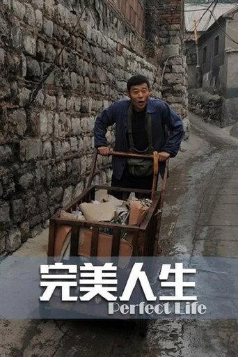 完美人生 (2012) poster