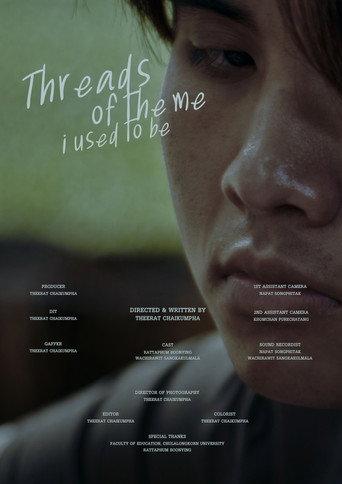 Threads of the me i used to be () poster
