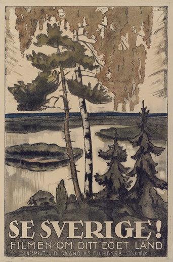 See Sweden! (1924) poster