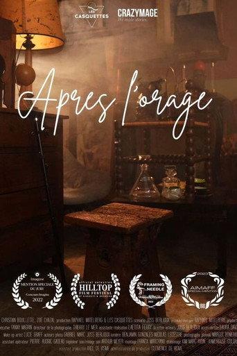 Après l'orage (2023) poster