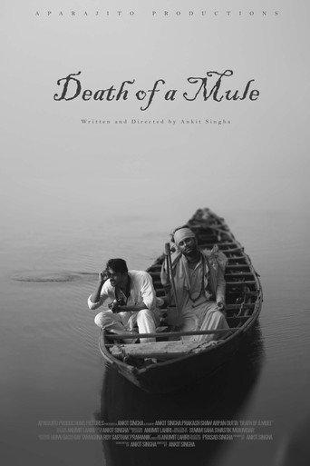 Death of a Mule () poster