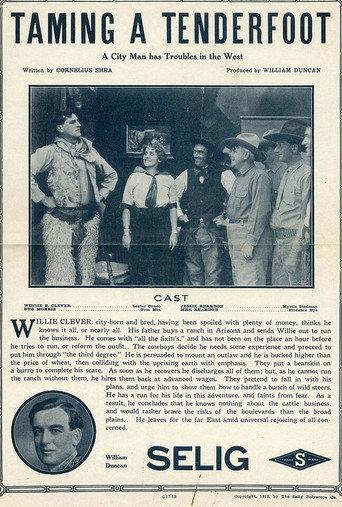 Taming a Tenderfoot (1913) poster