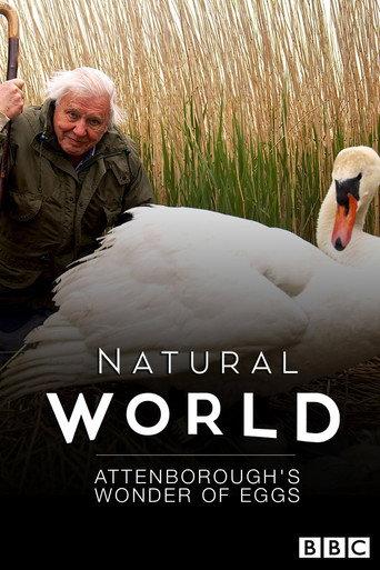 Attenborough's Wonder of Eggs (2018) poster
