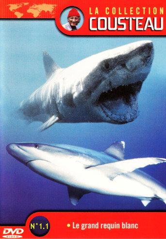 La Collection Cousteau N° 1 | Le Grand Requin Blanc | Les Requins Dormeurs Du Yucatan () poster