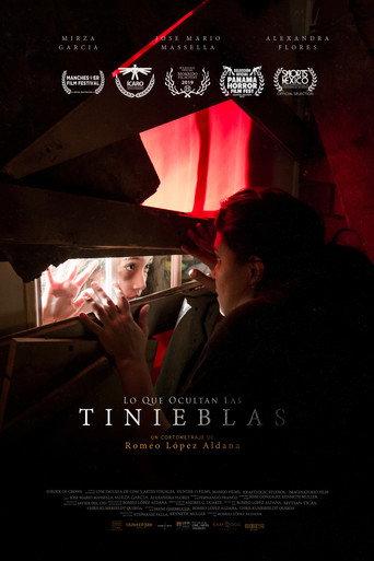 Lo Que Ocultan Las Tinieblas (2019) poster