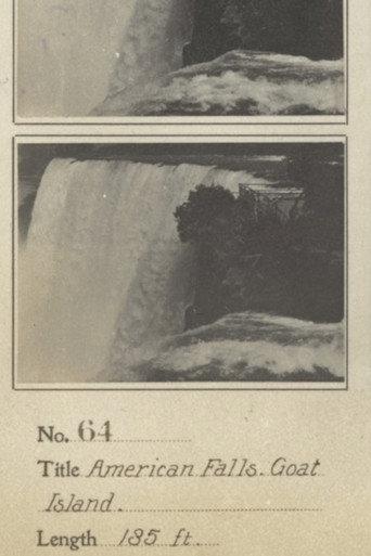 American Falls from Goat Island (1896) poster